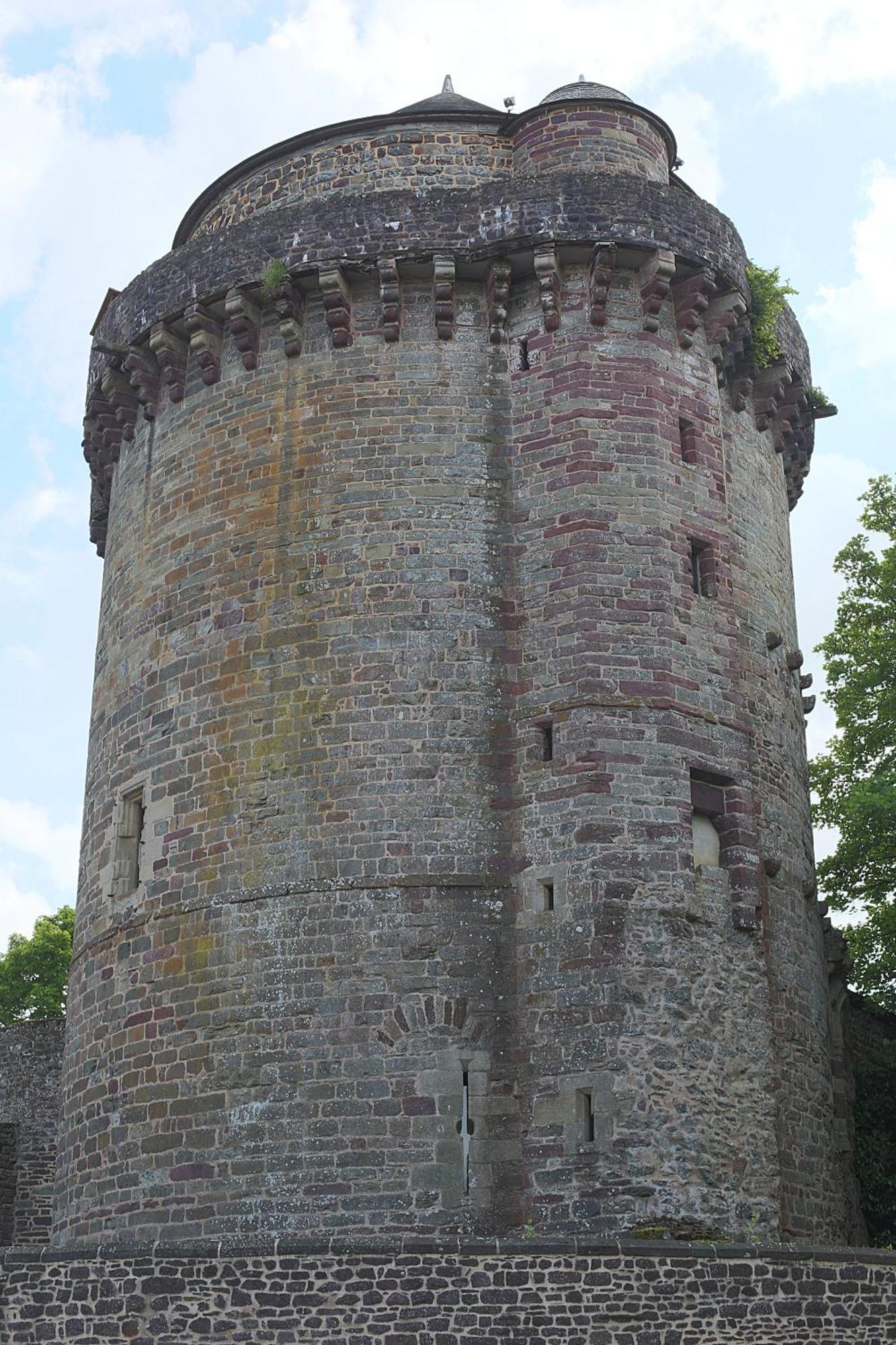 Le Manoir De La Cane Montfort-sur-Meu Bagian luar foto